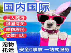 惠州平潭机场物流国际宠物托运 【国